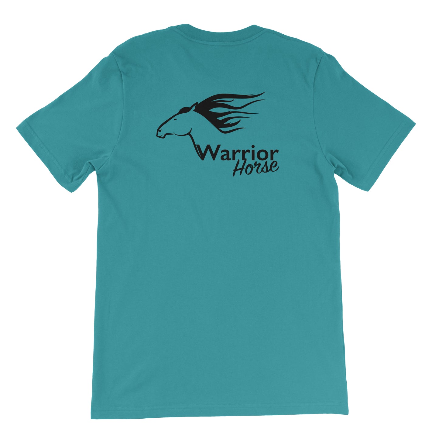Teal Shirt / Black Logo
